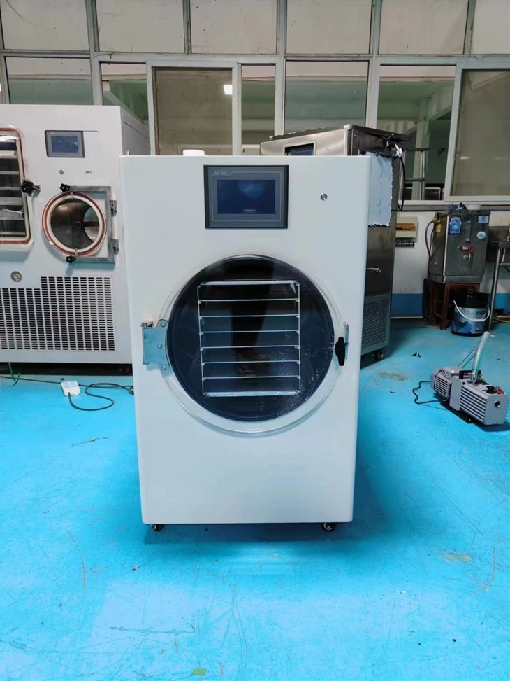 Household Small Freeze Dryer